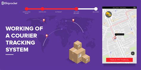 My Robot Doll Order & Package Tracking 